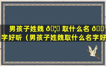 男孩子姓魏 🦋 取什么名 🐳 字好听（男孩子姓魏取什么名字好听两个字）